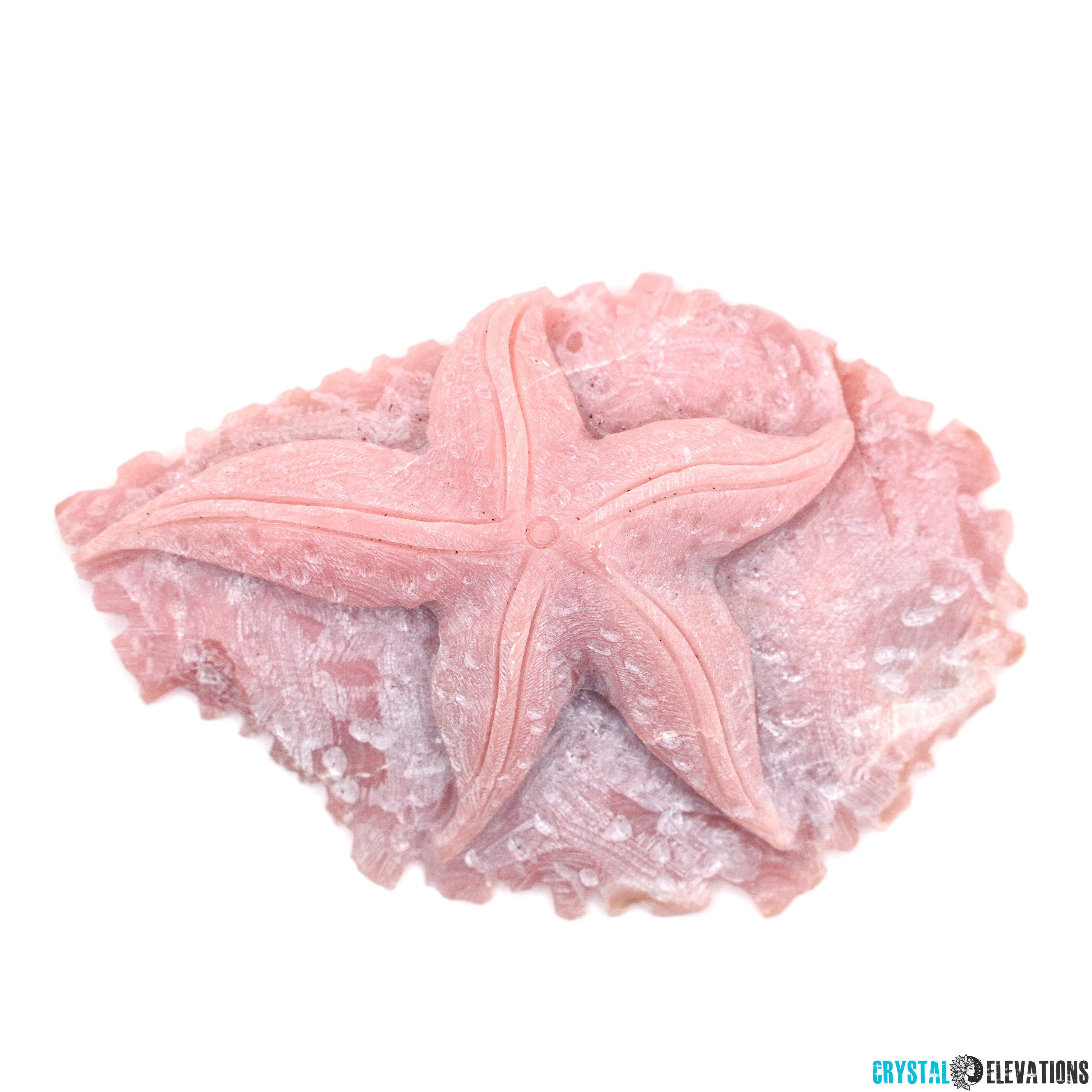 Pink Opal Starfish on Coral Carving