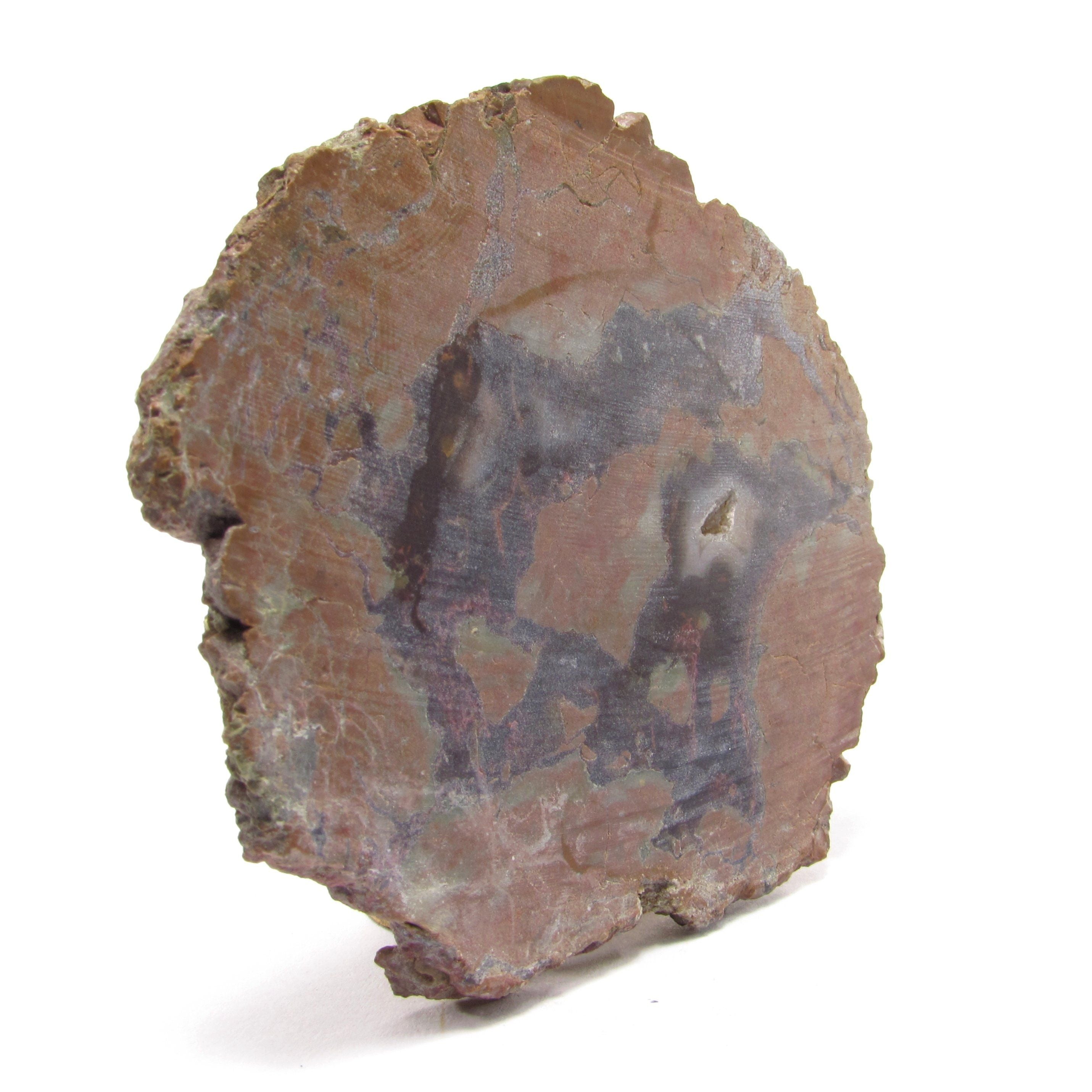 Rough Brown Agate Slice - 3.1 in. Length