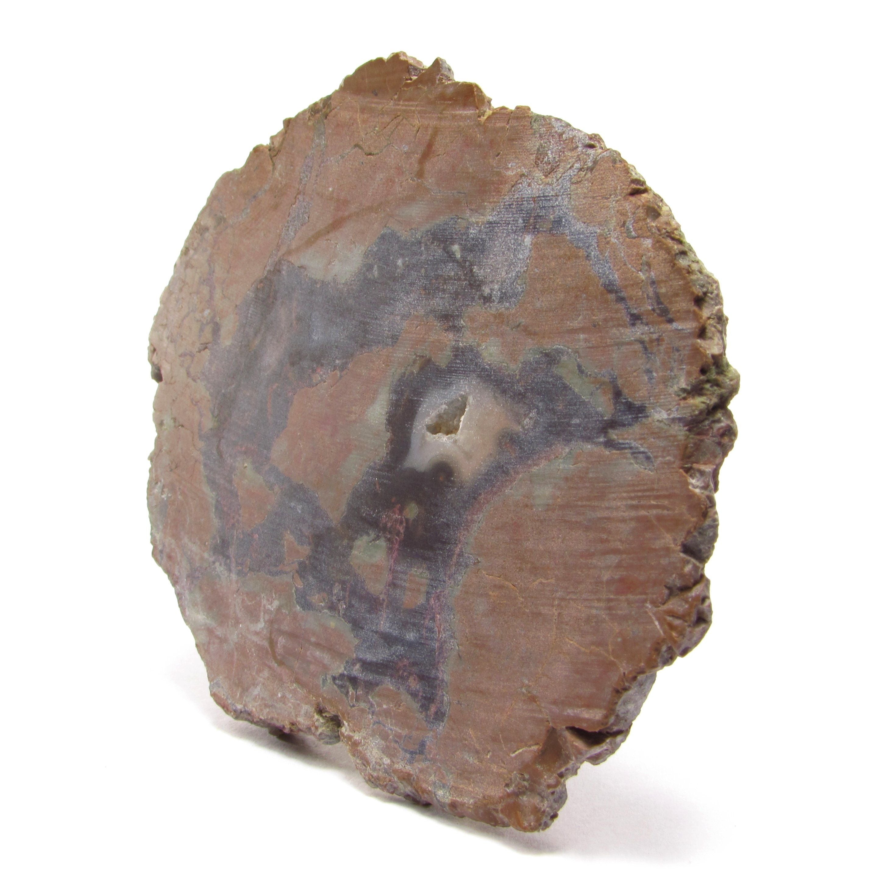 Rough Brown Agate Slice - 3.1 in. Length