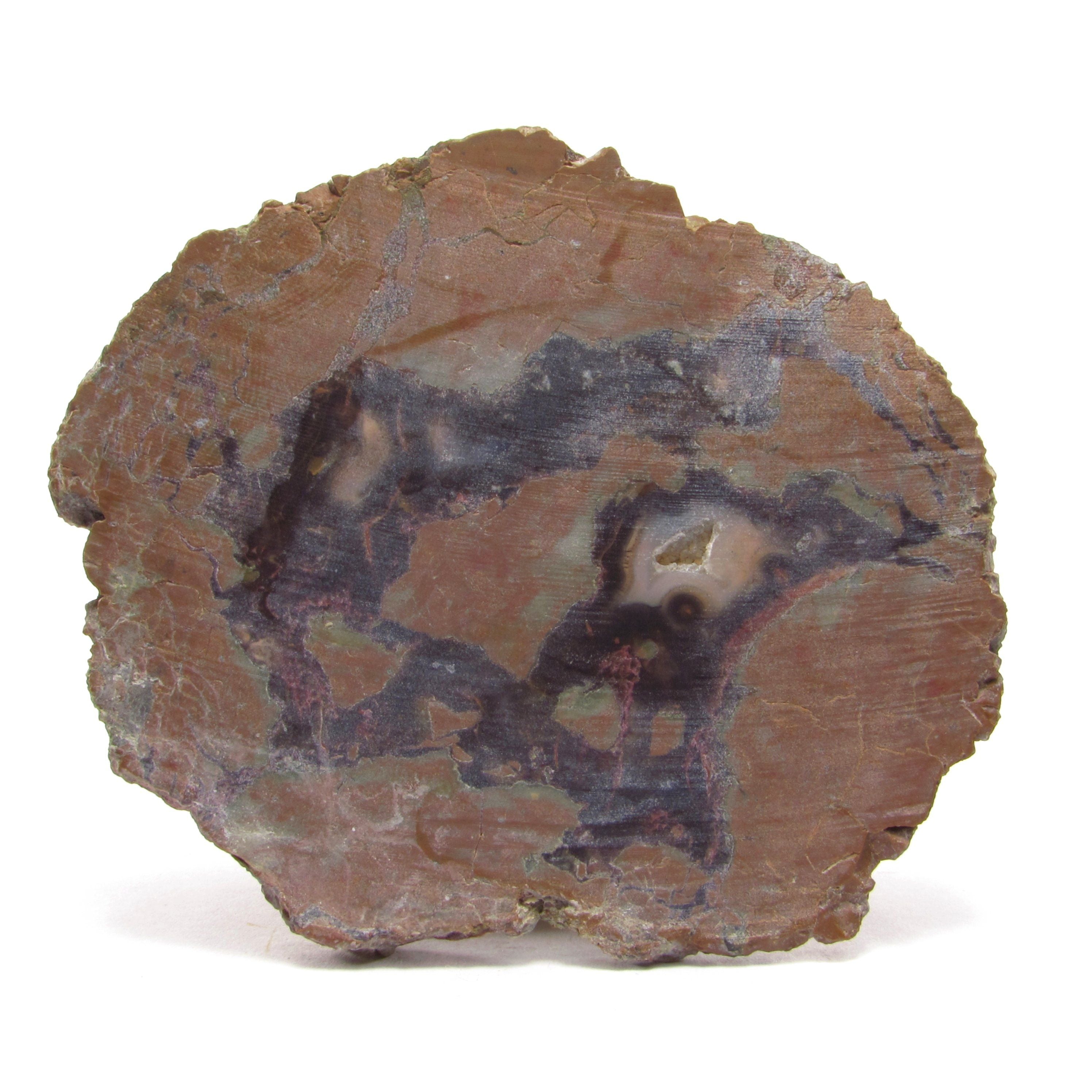 Rough Brown Agate Slice - 3.1 in. Length