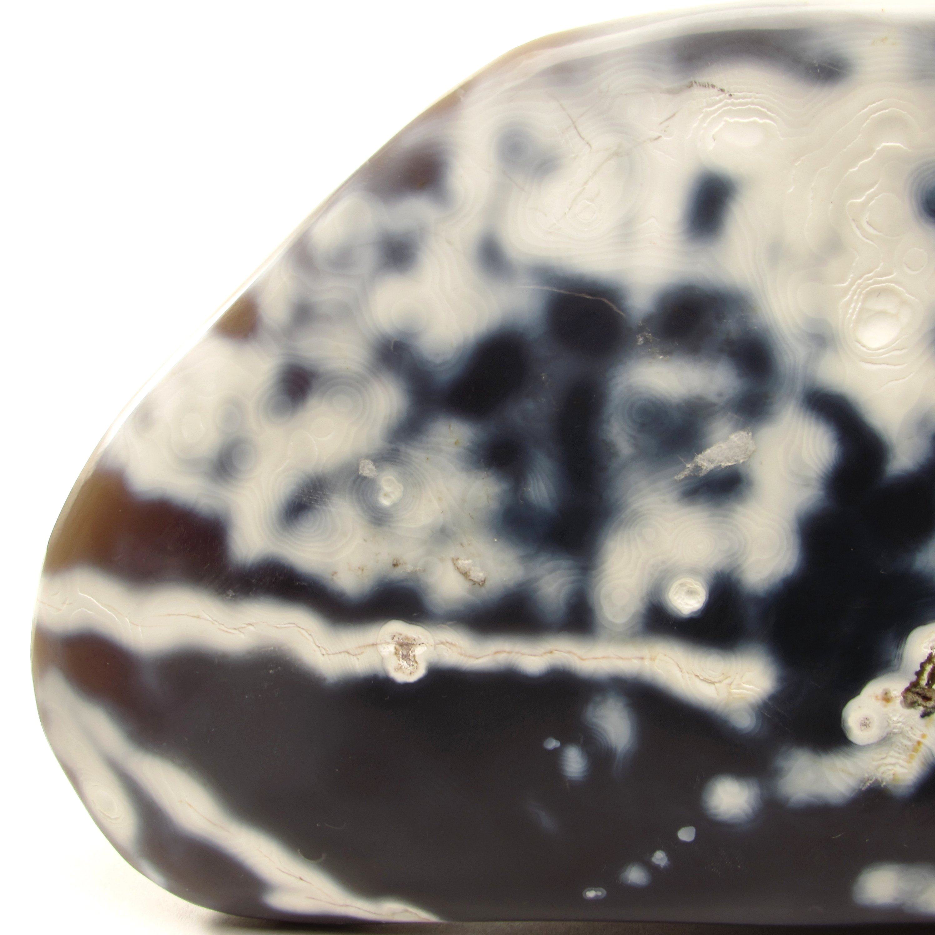 Orca Agate freeform