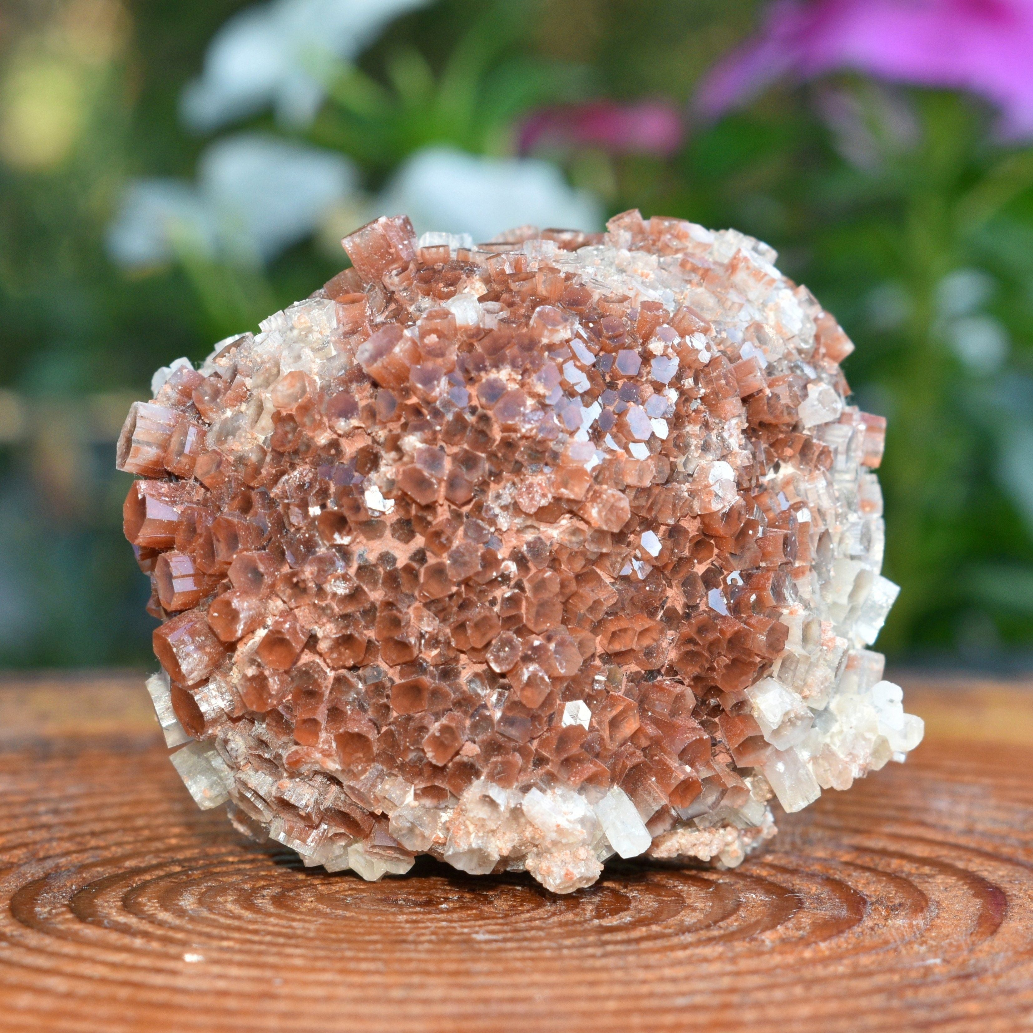 Red Moroccan Aragonite Cluster - 6.68 oz