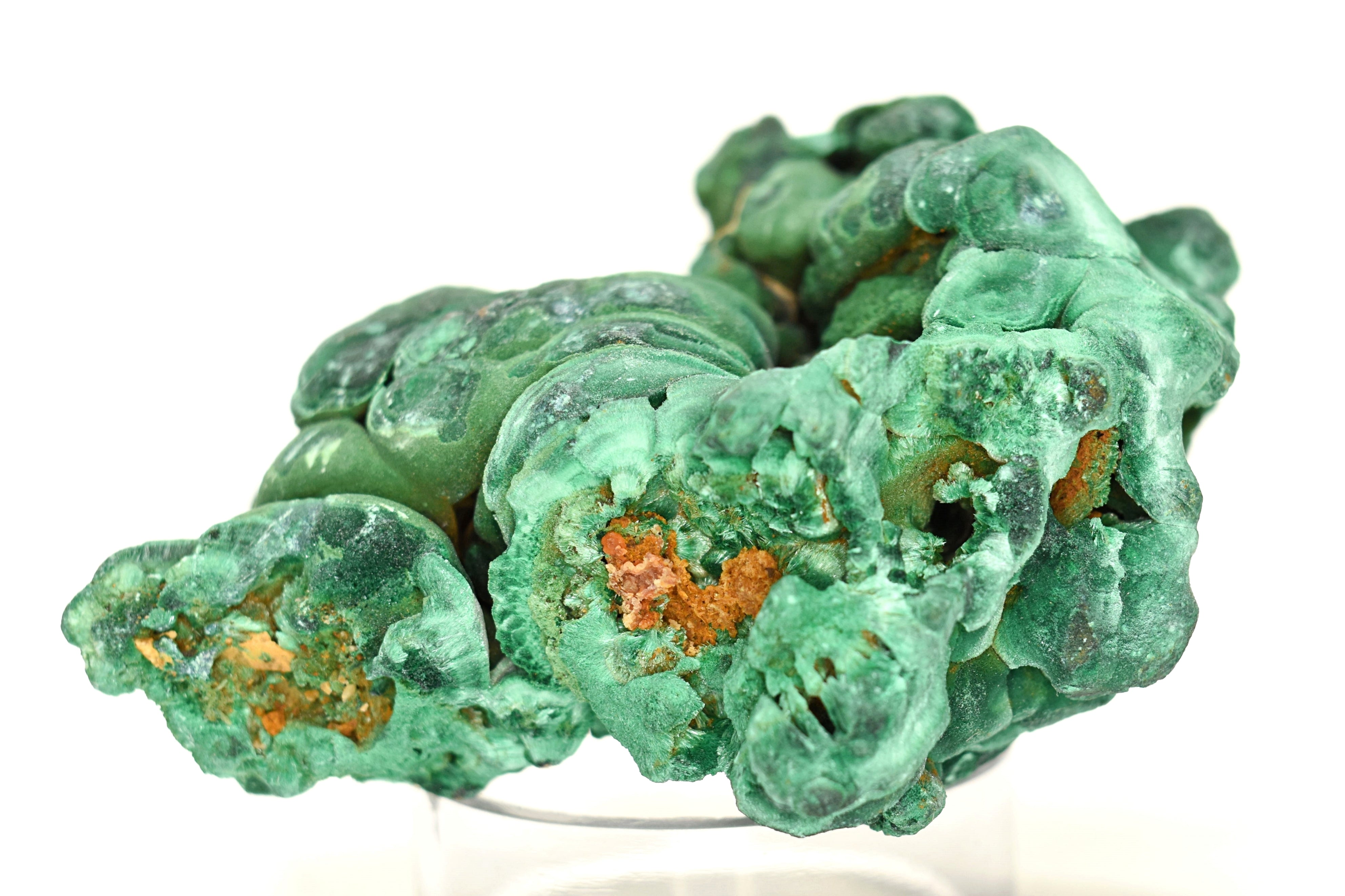 Malachite Elegant Velvet Green Shimmer