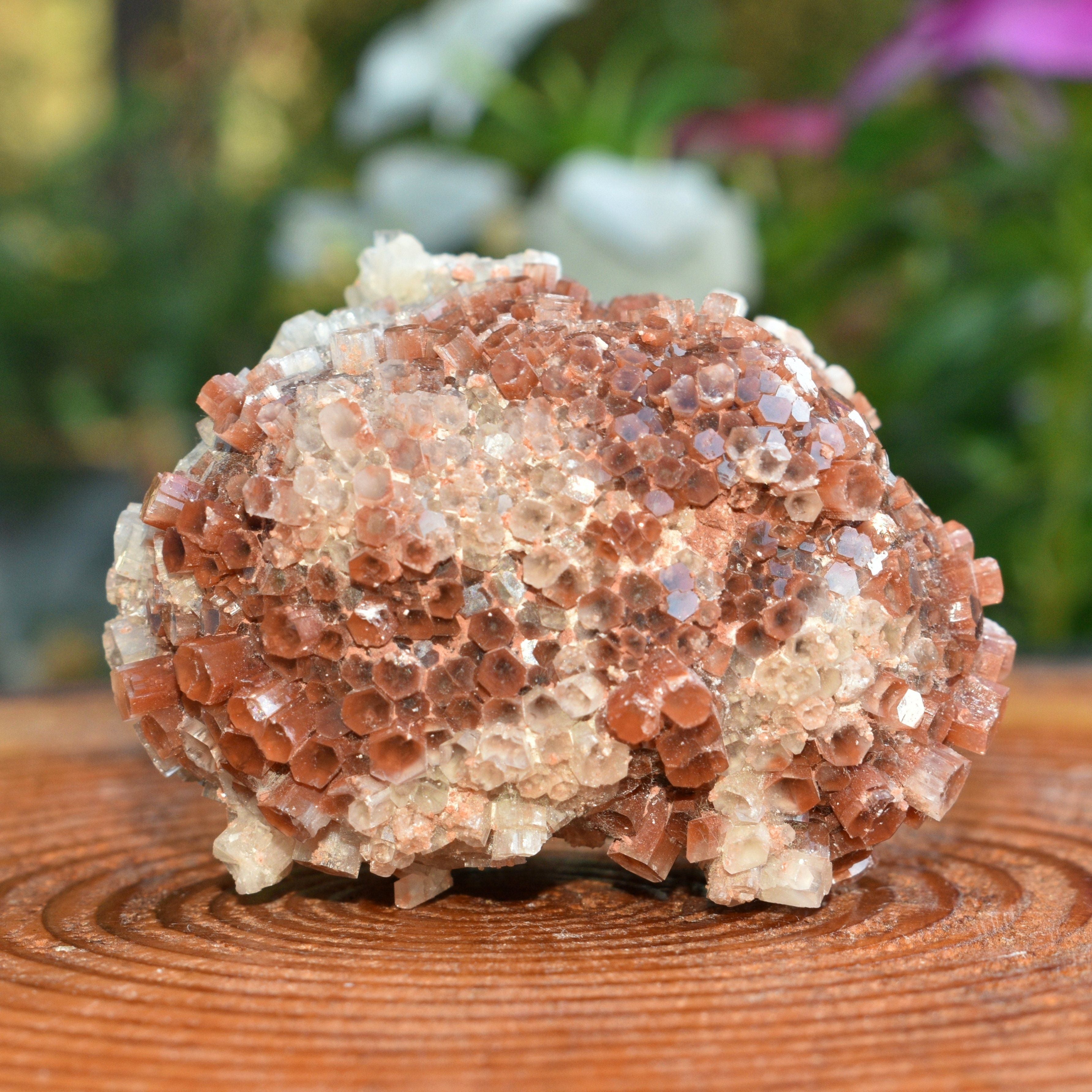 Red Moroccan Aragonite Cluster - 6.68 oz