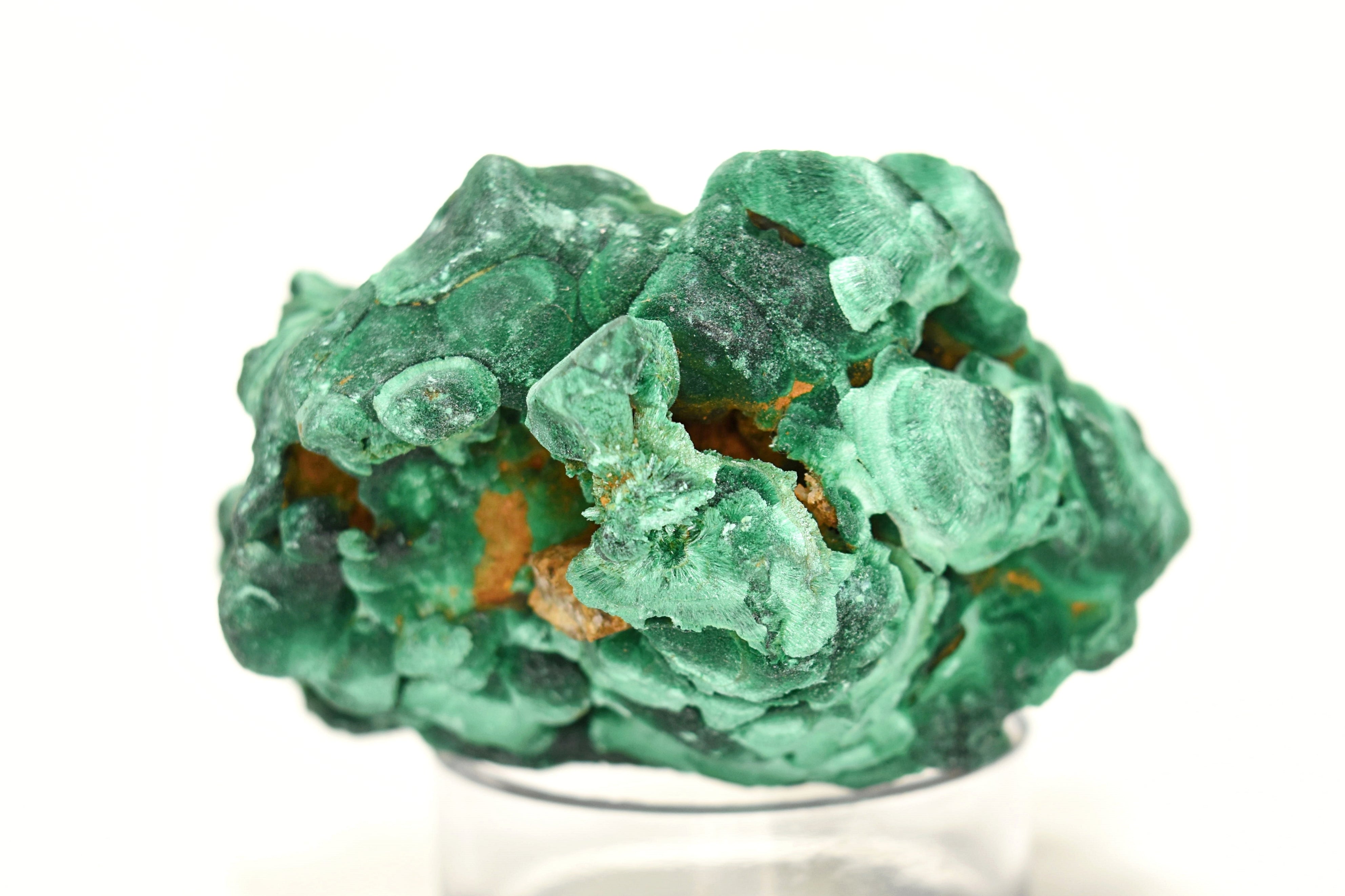 Malachite Elegant Velvet Green Shimmer