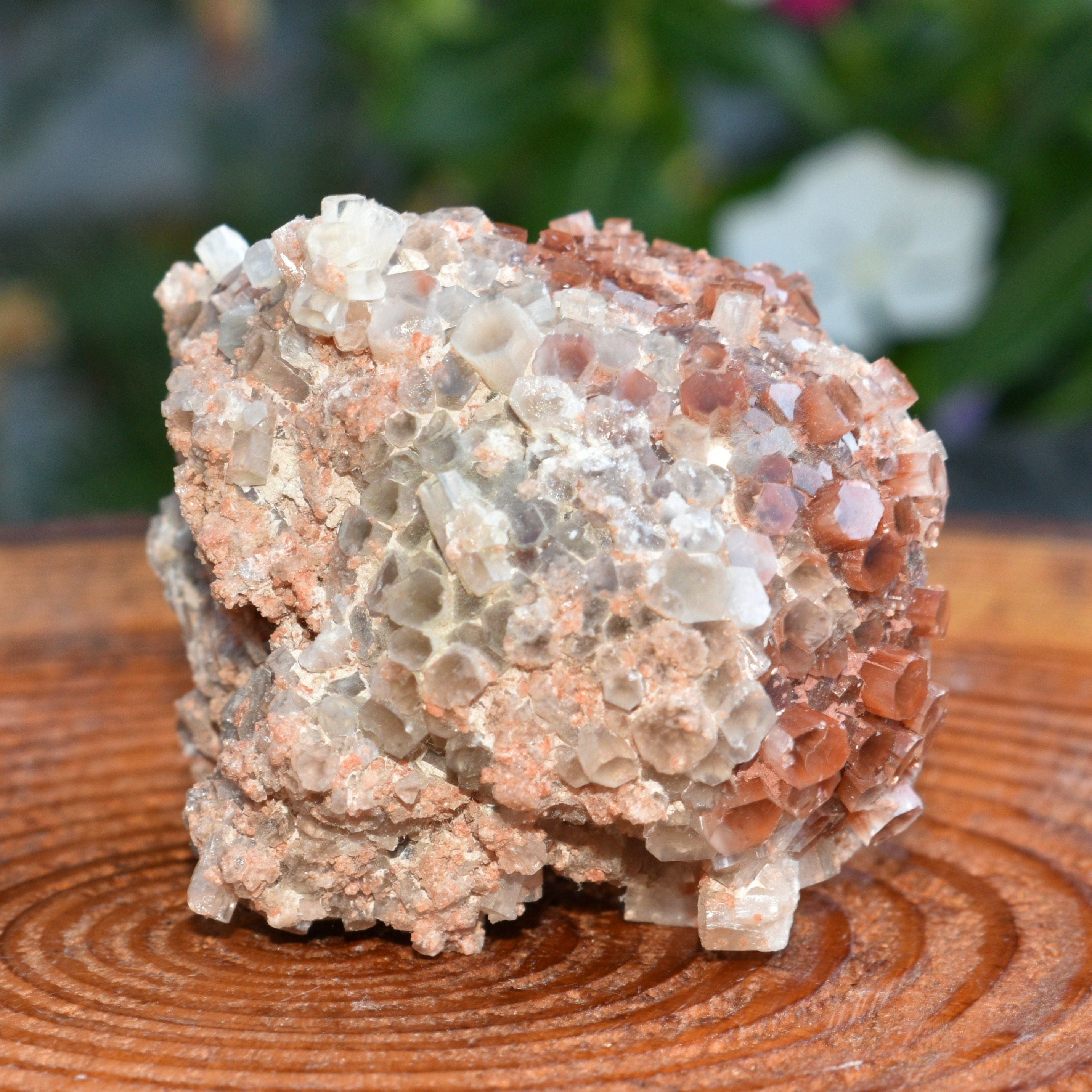 Red Moroccan Aragonite Cluster - 6.68 oz