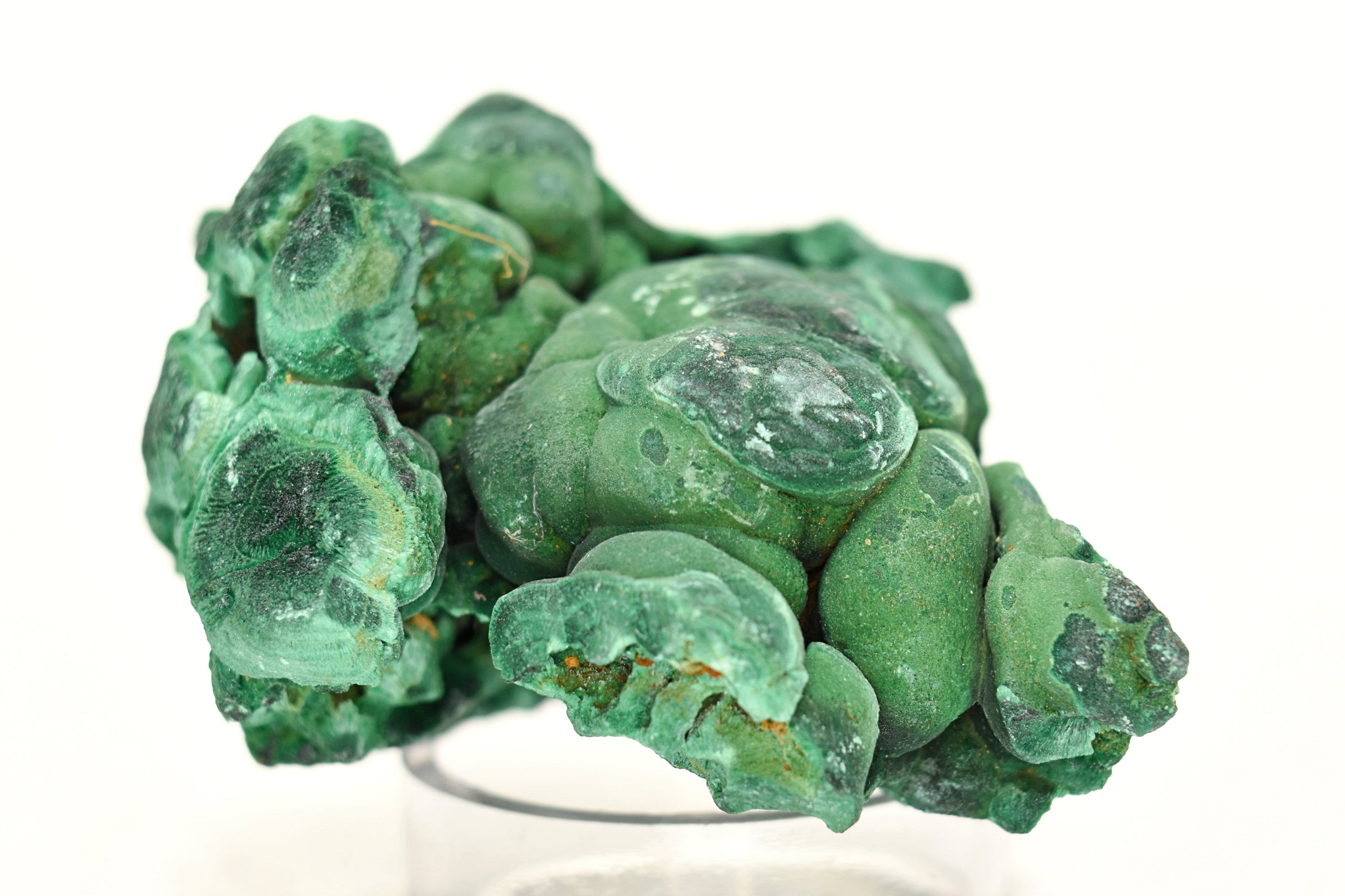 Malachite Elegant Velvet Green Shimmer