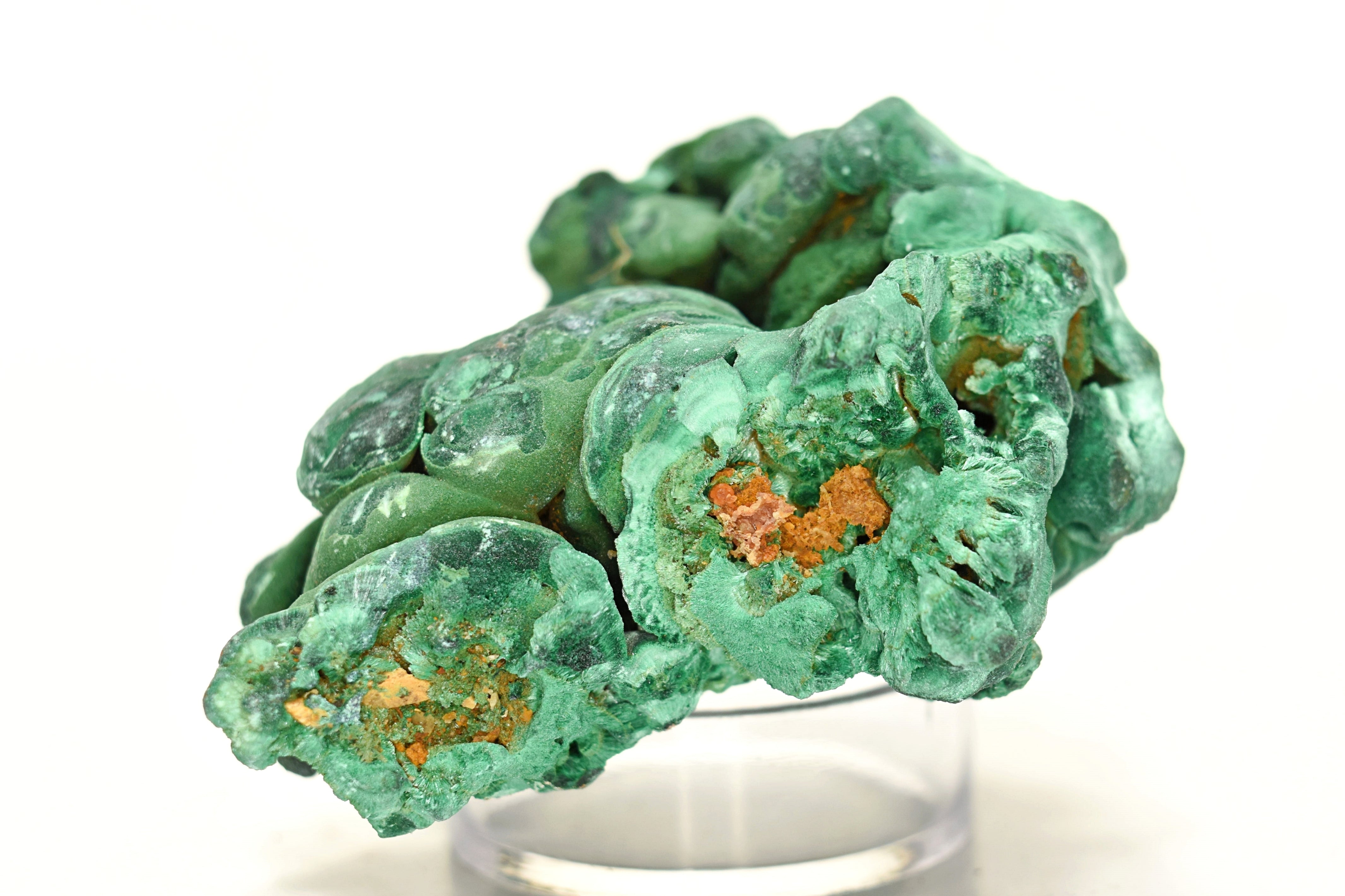 Malachite Elegant Velvet Green Shimmer