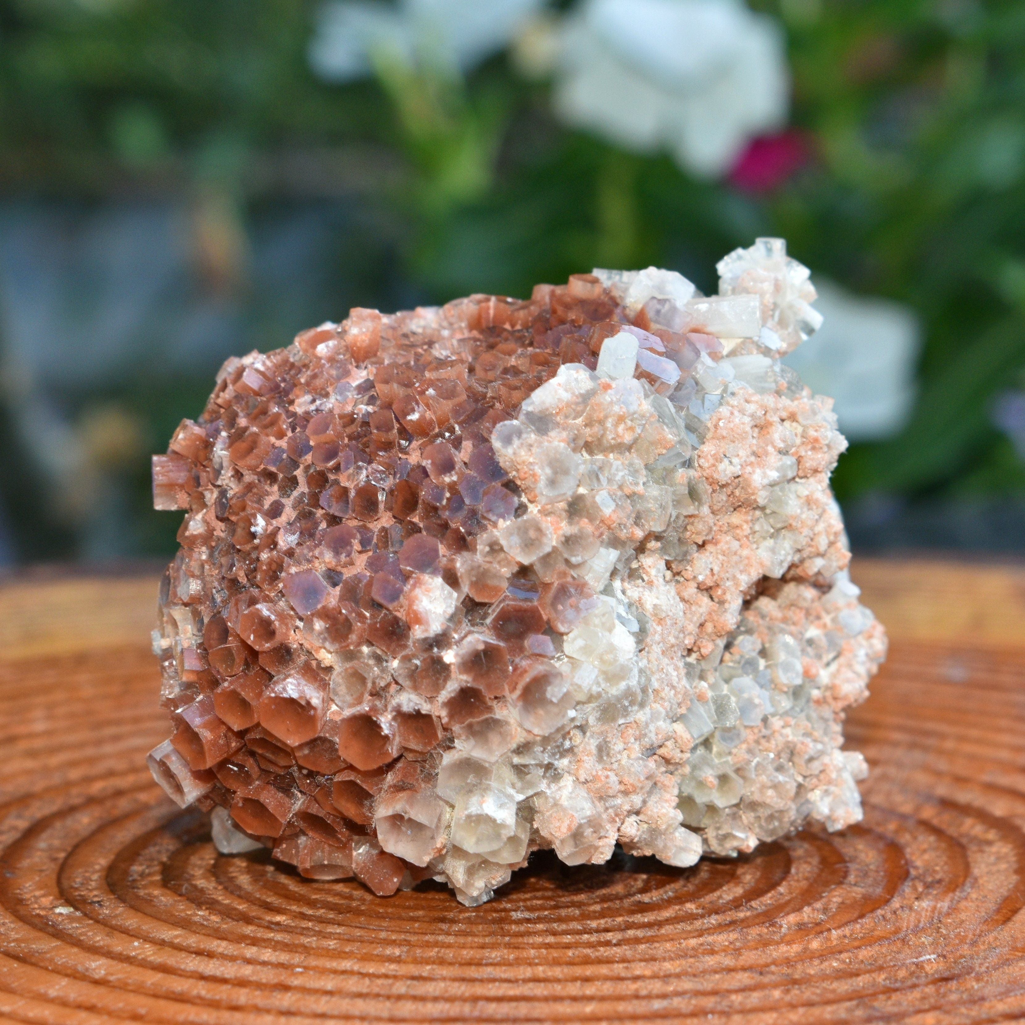 Red Moroccan Aragonite Cluster - 6.68 oz