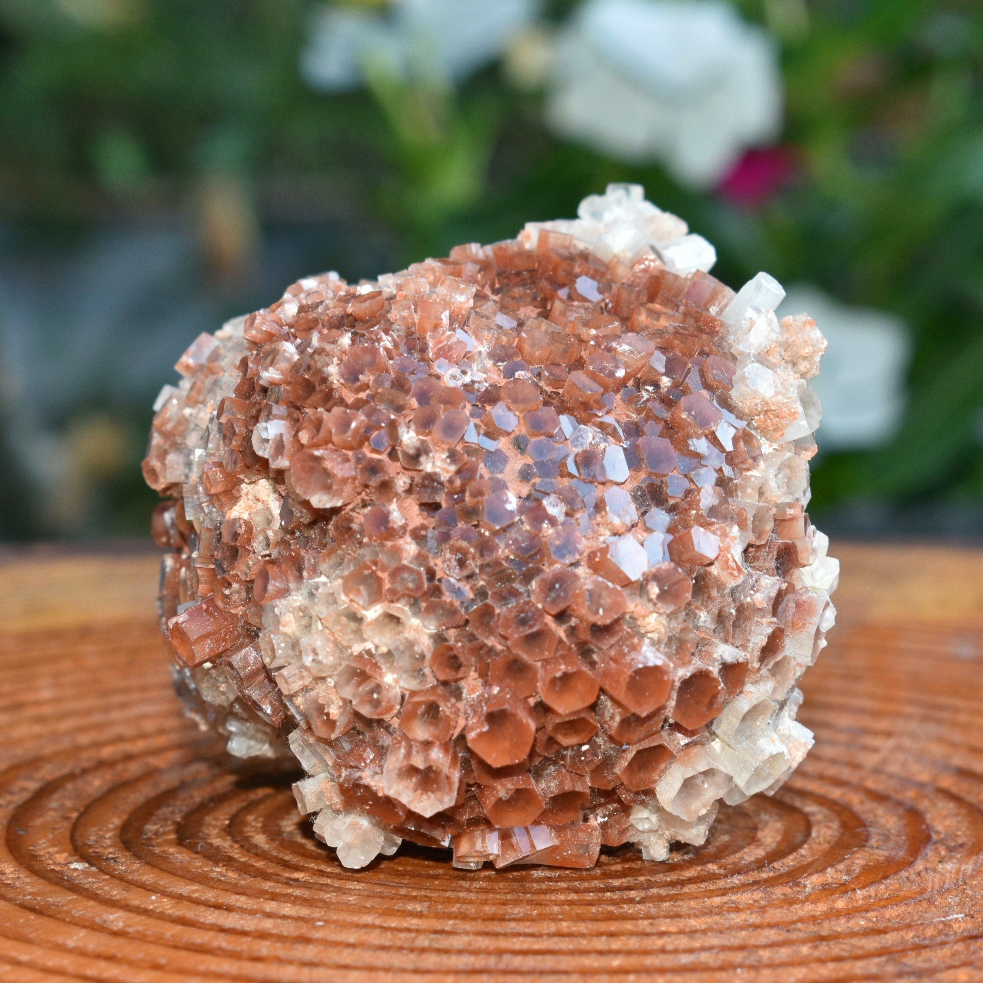 Red Moroccan Aragonite Cluster - 6.68 oz