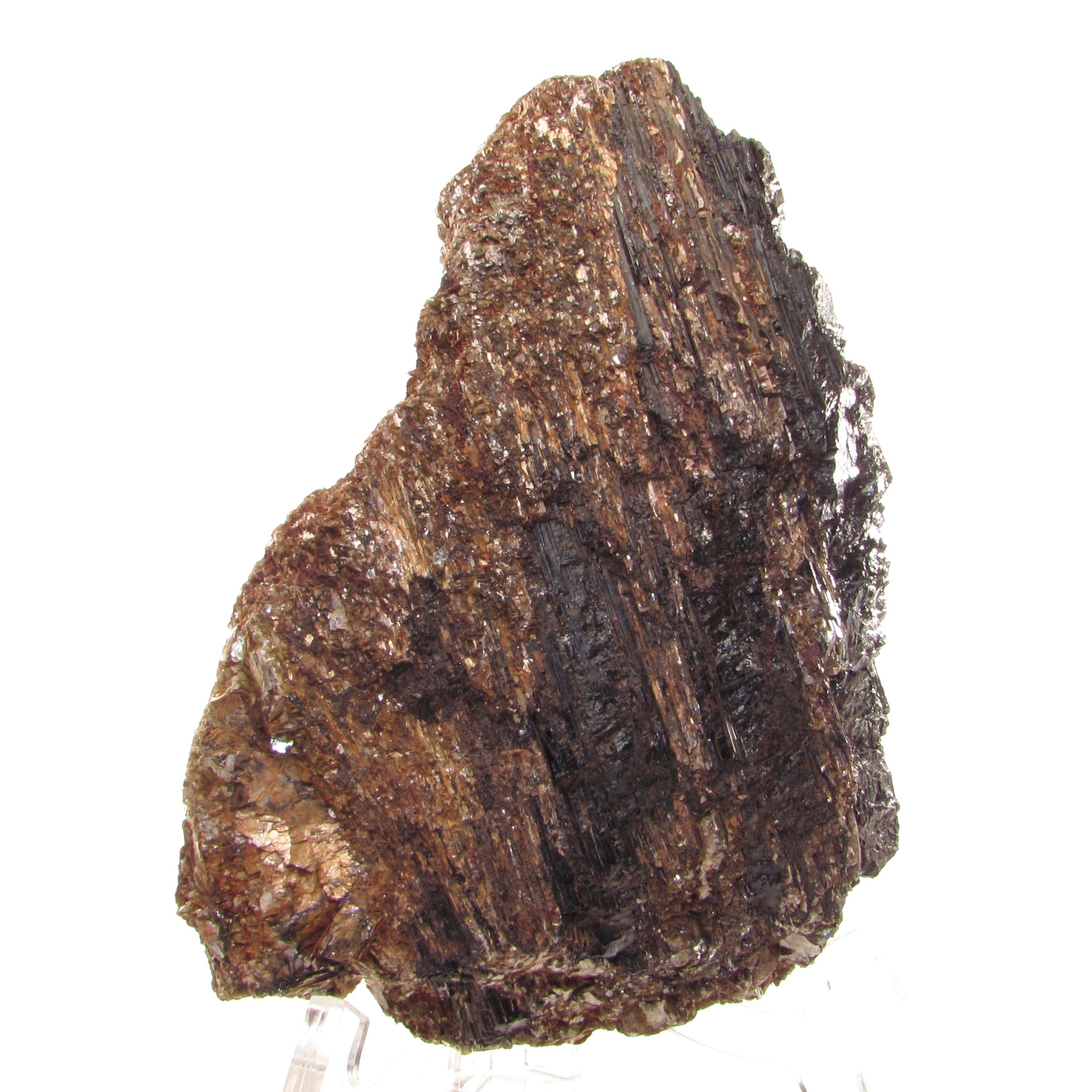 Black Tourmaline & Mica Matrix - 3.1 lb