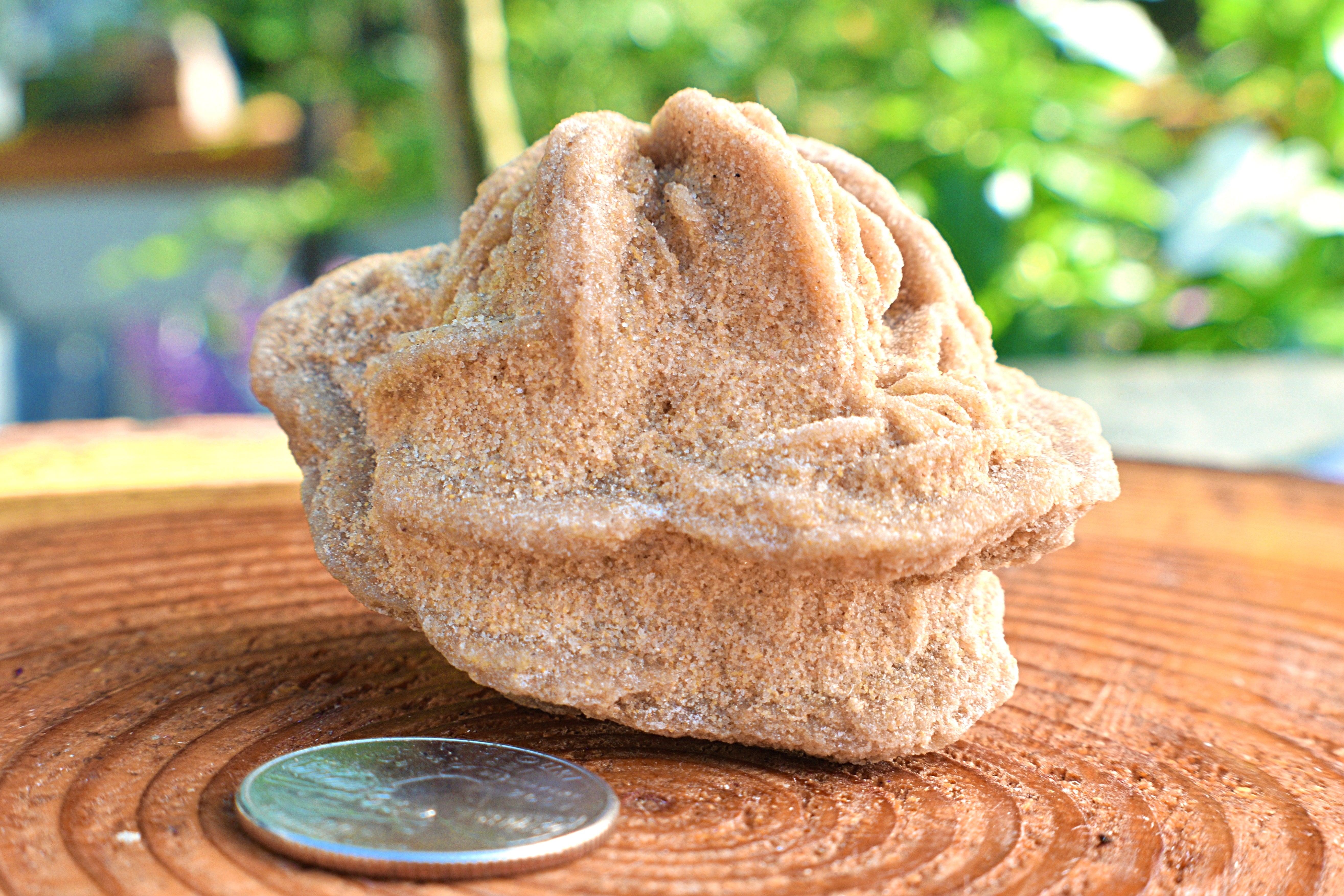 Natural Desert Rose Baryte Chunk - 5.24 oz