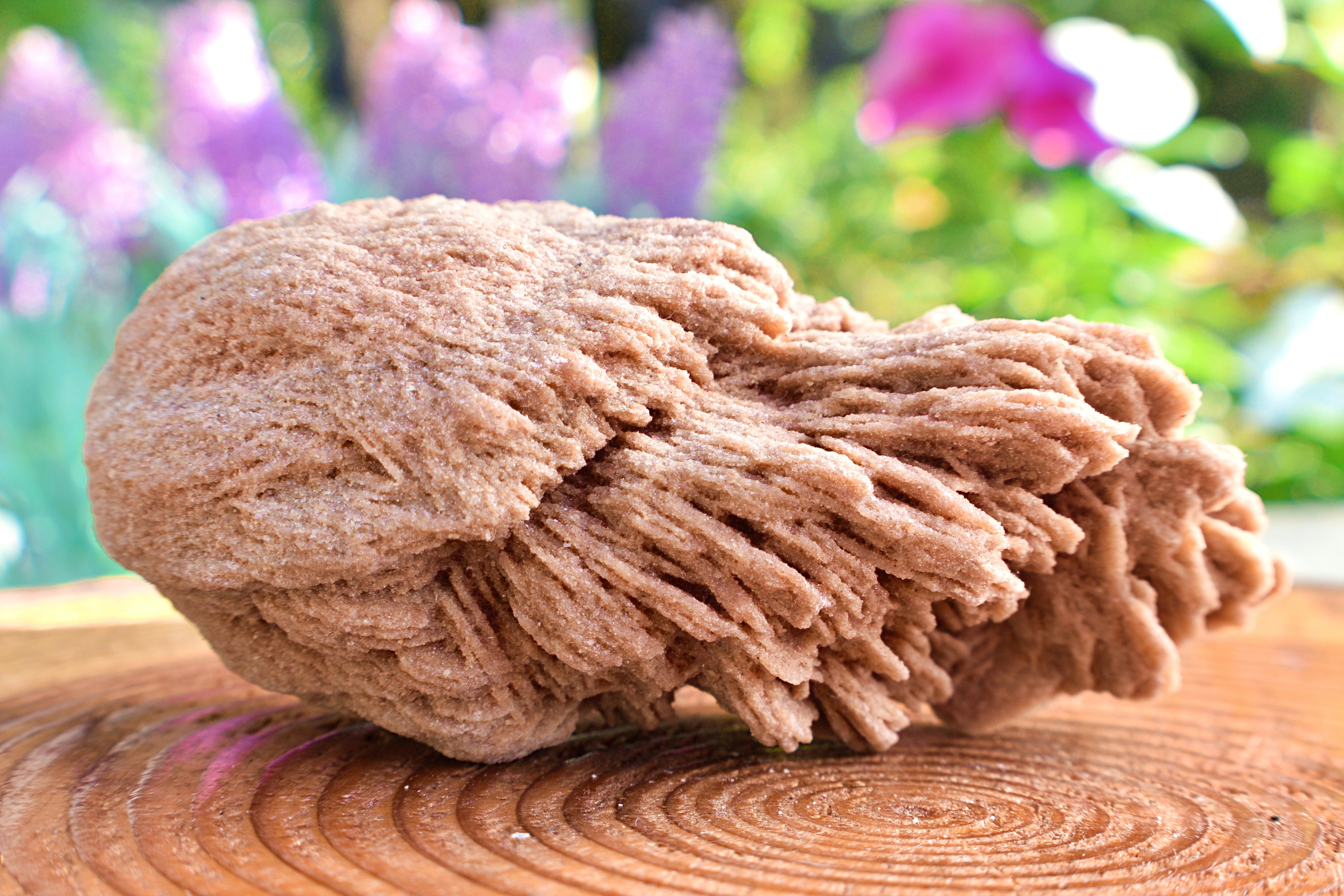 1-1/4 lb Natural Desert Rose Baryte Raw Chunk