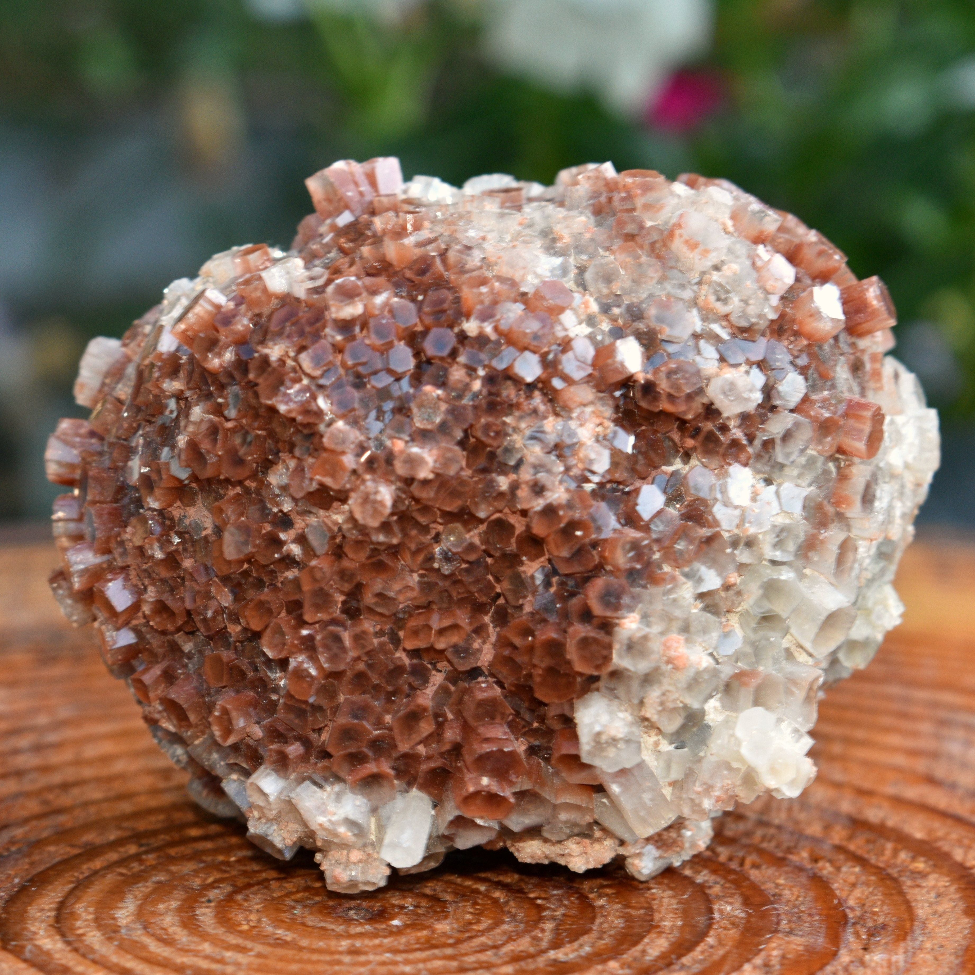 Red Moroccan Aragonite Cluster - 6.68 oz