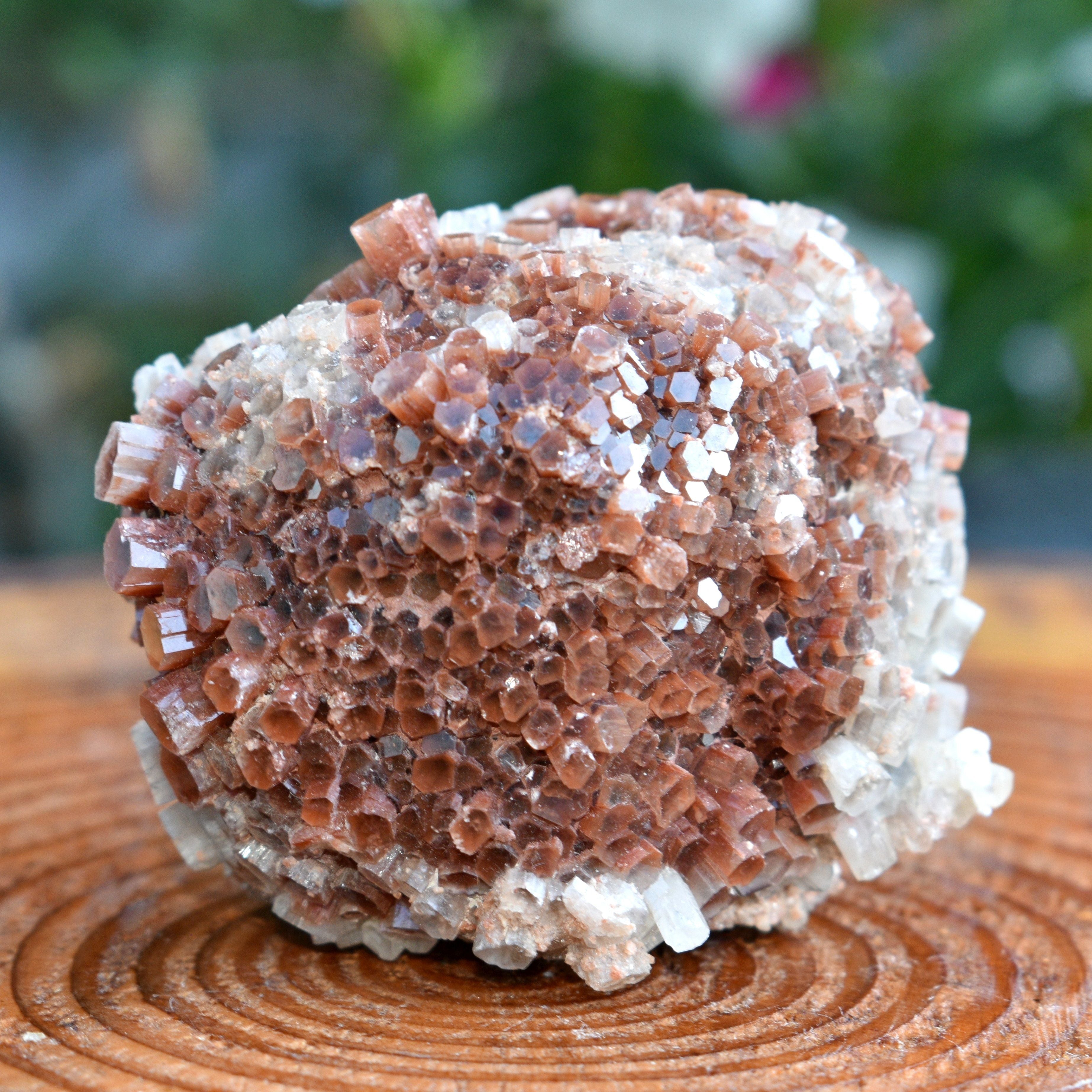 Red Moroccan Aragonite Cluster - 6.68 oz