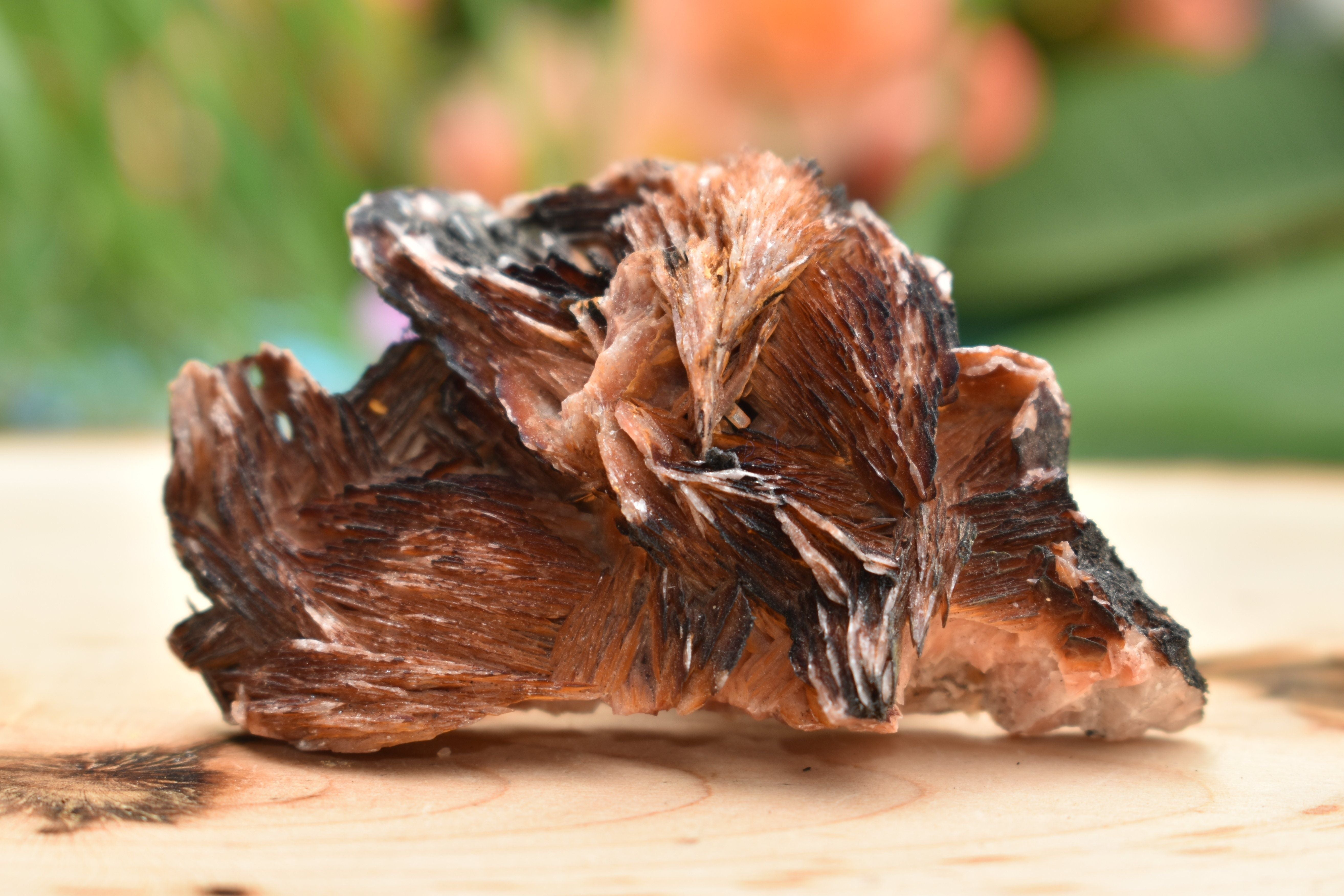 Baryte with Goethite - 2.85 oz