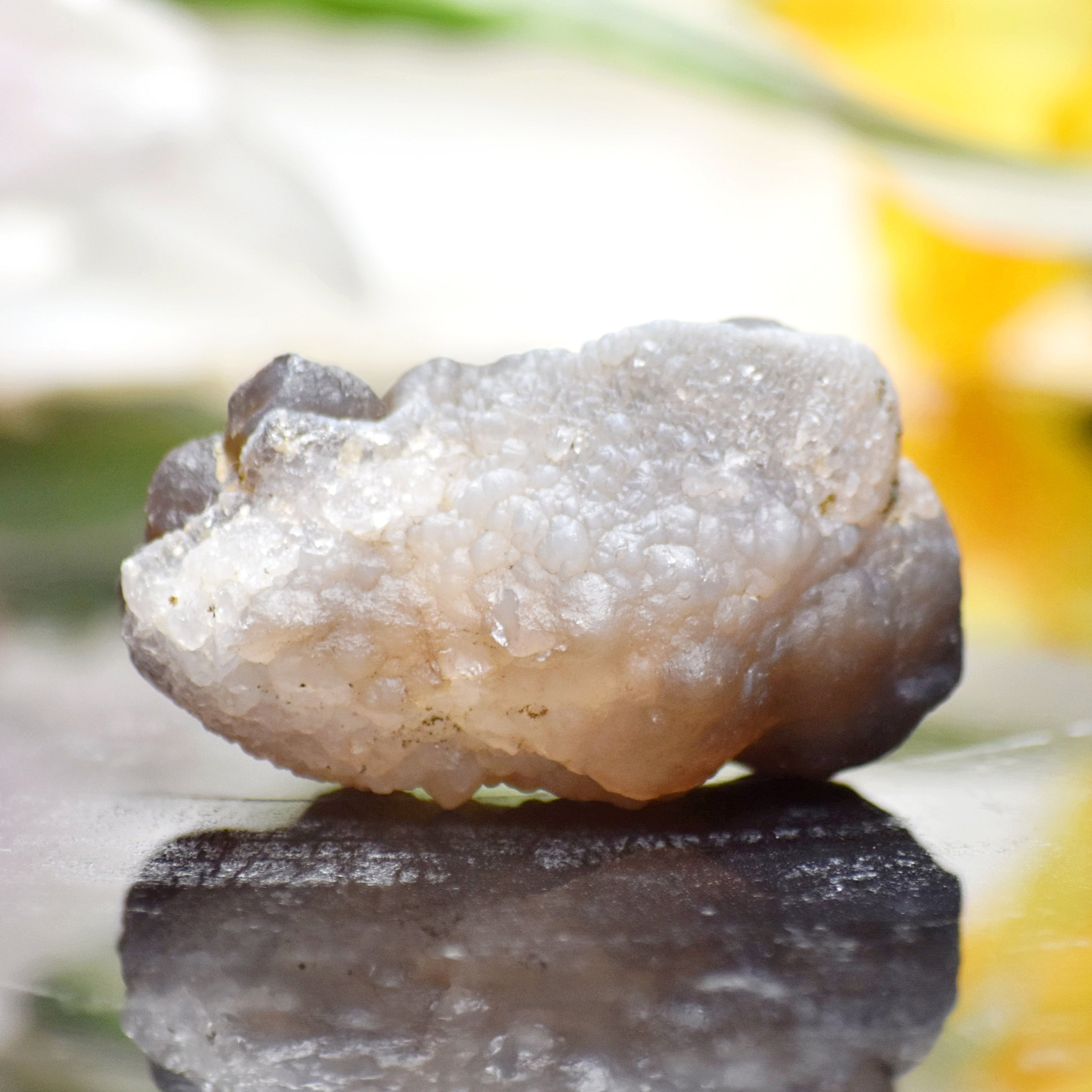 Moroccan Chalcedony "Witch's Wart" Raw Specimen