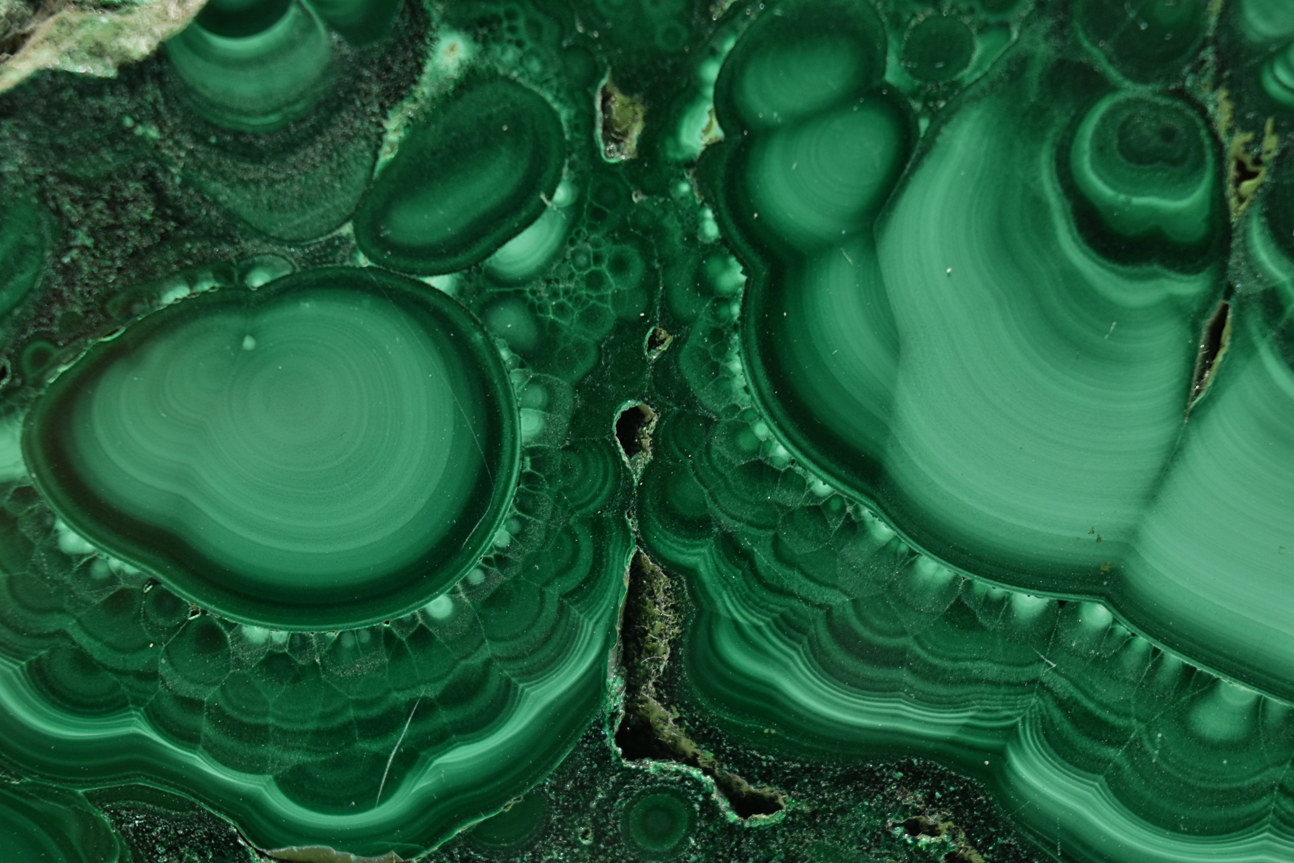 Malachite Slab Exquisite Botryoidal Patterns With Druzy Caverns