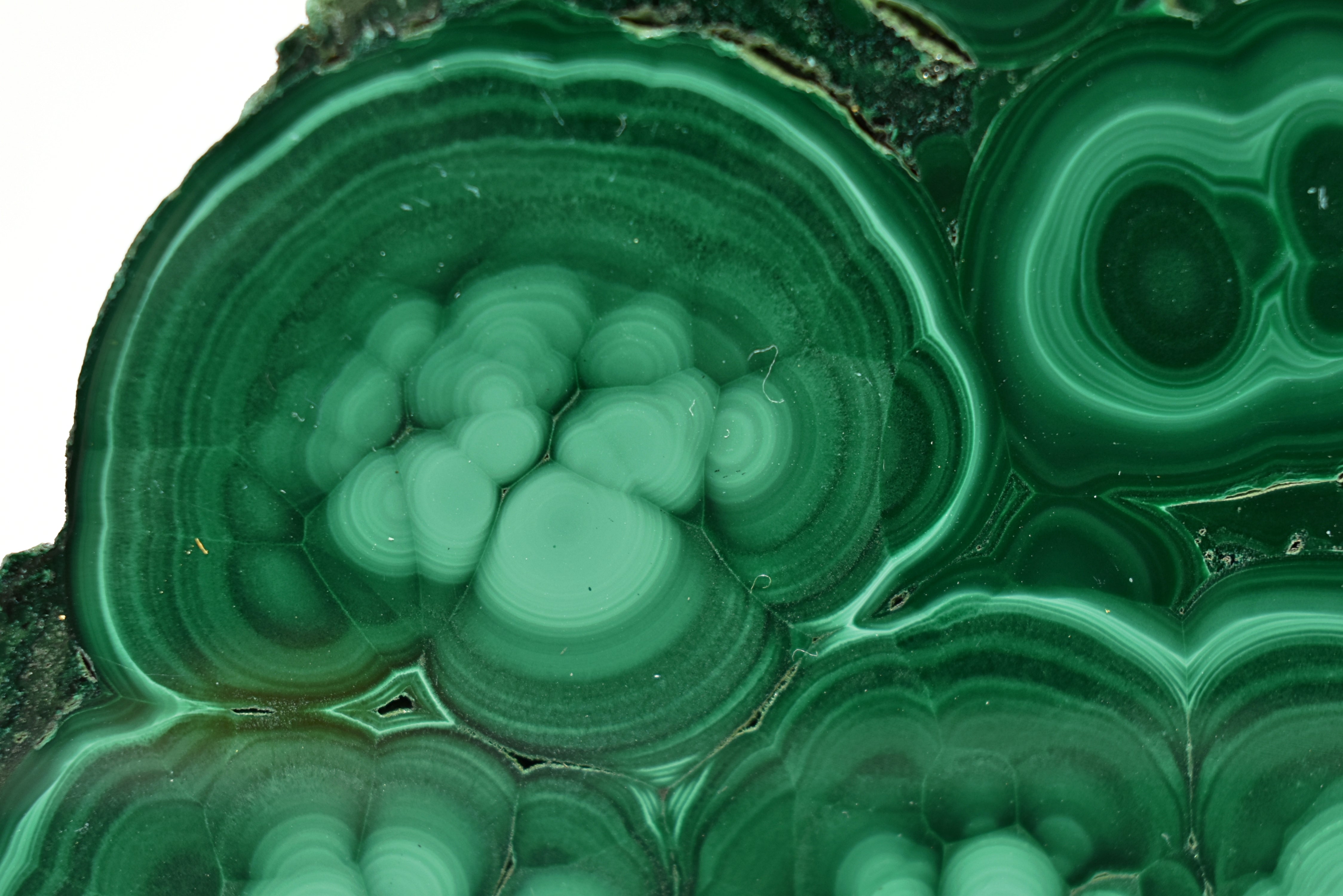 Malachite Slab Exquisite Botryoidal Patterns With Druzy Caverns