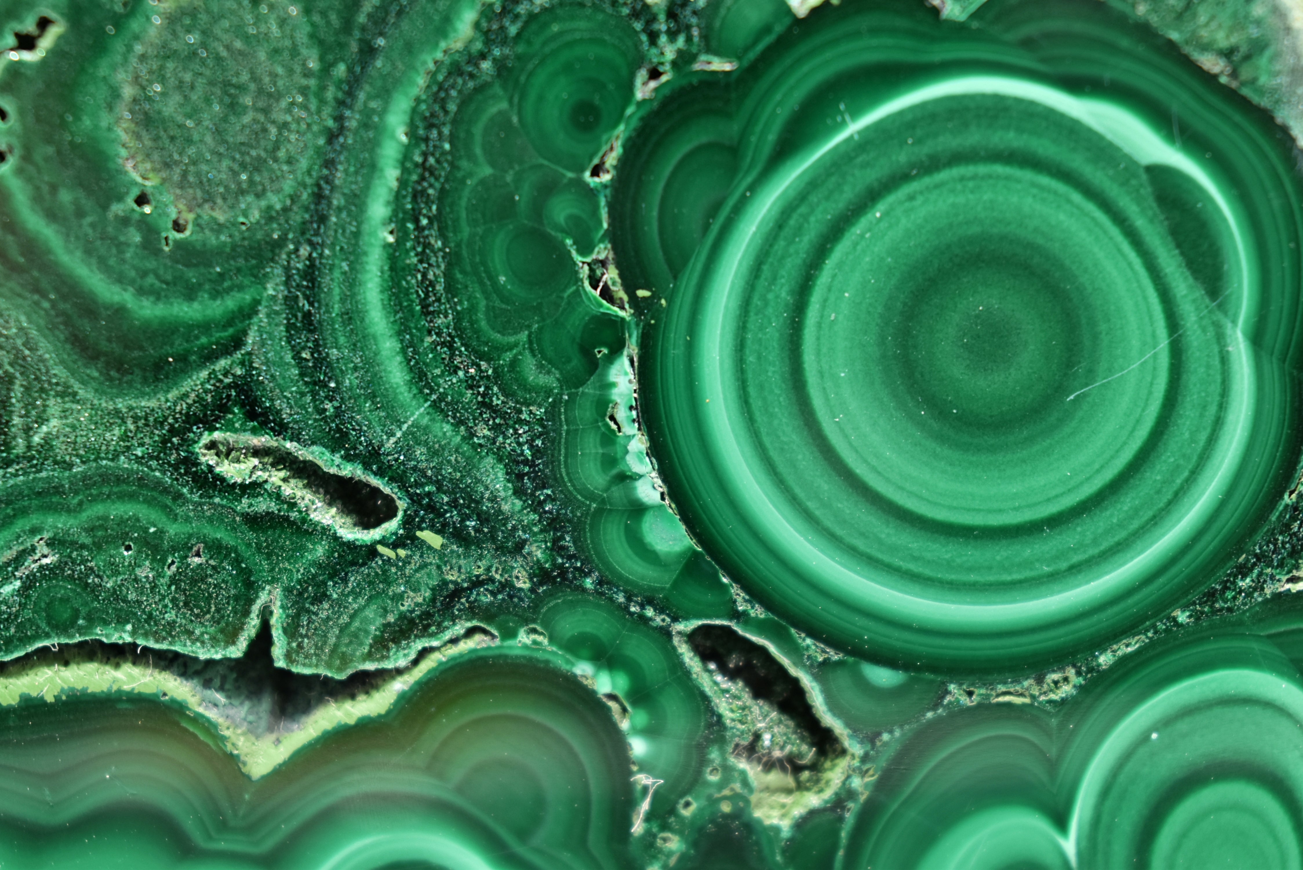 Malachite Slab Exquisite Botryoidal Patterns With Druzy Caverns