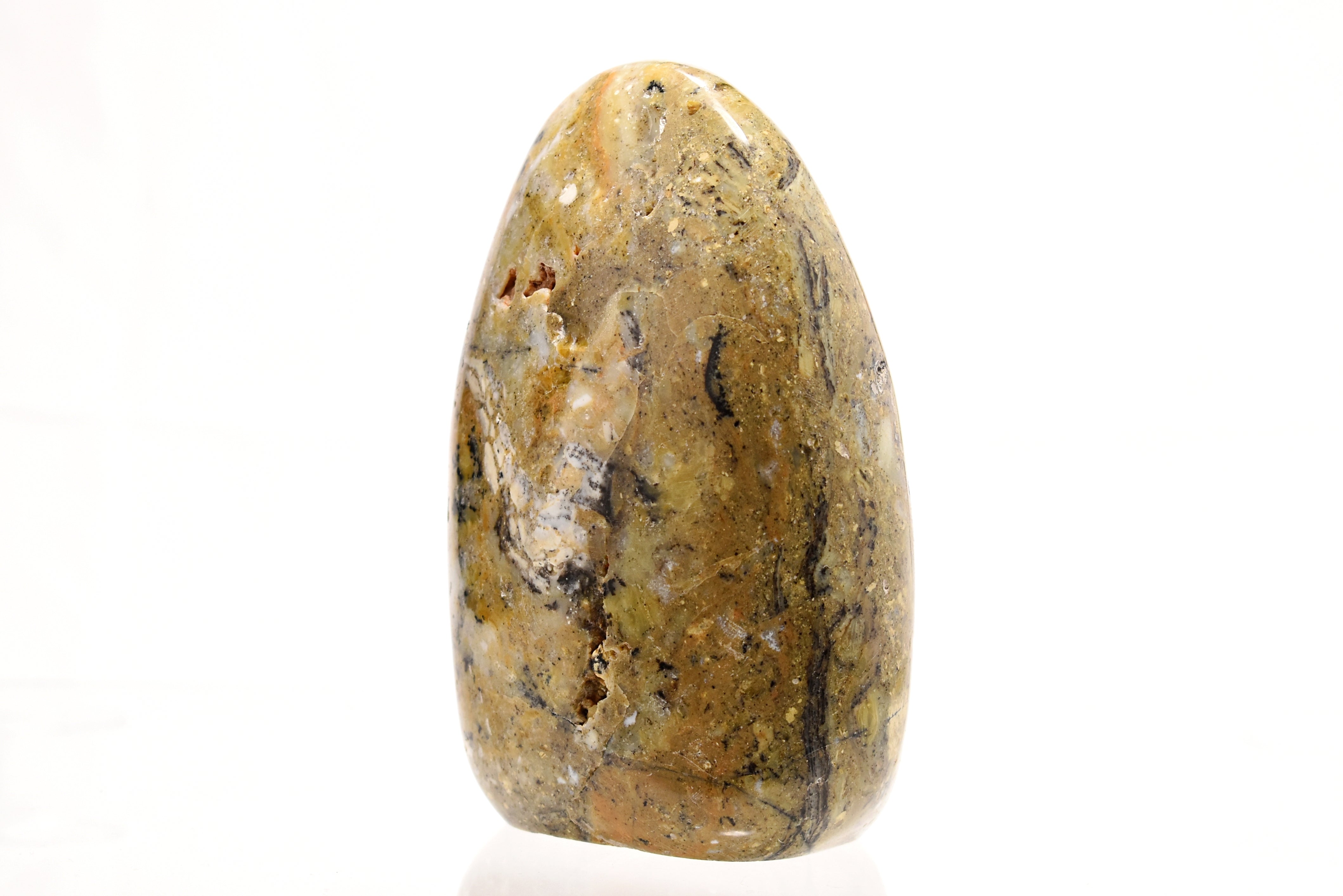 Large Jasper Freeform - 2.17 Lb