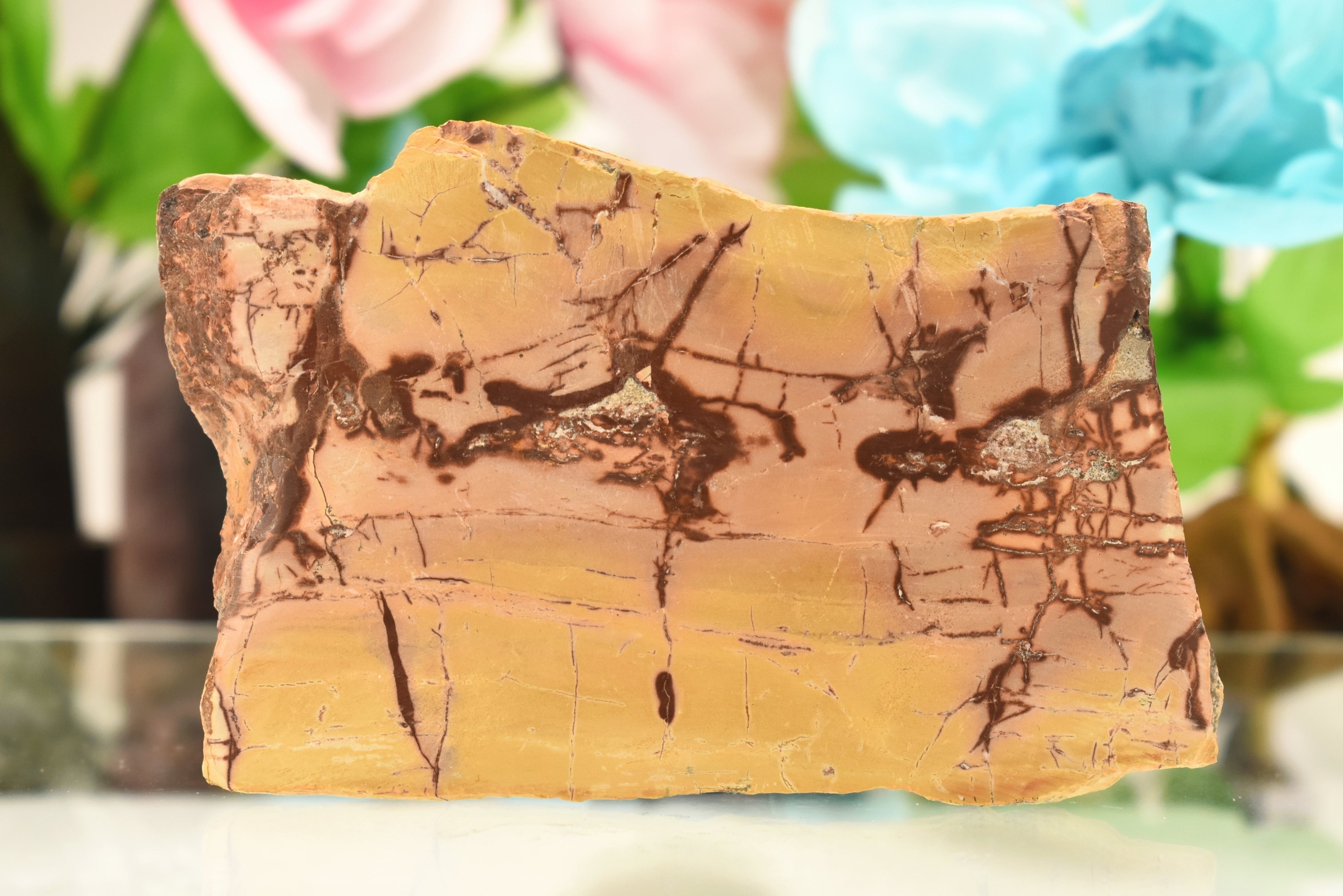 Mookaite Jasper Slab 4.5 inch