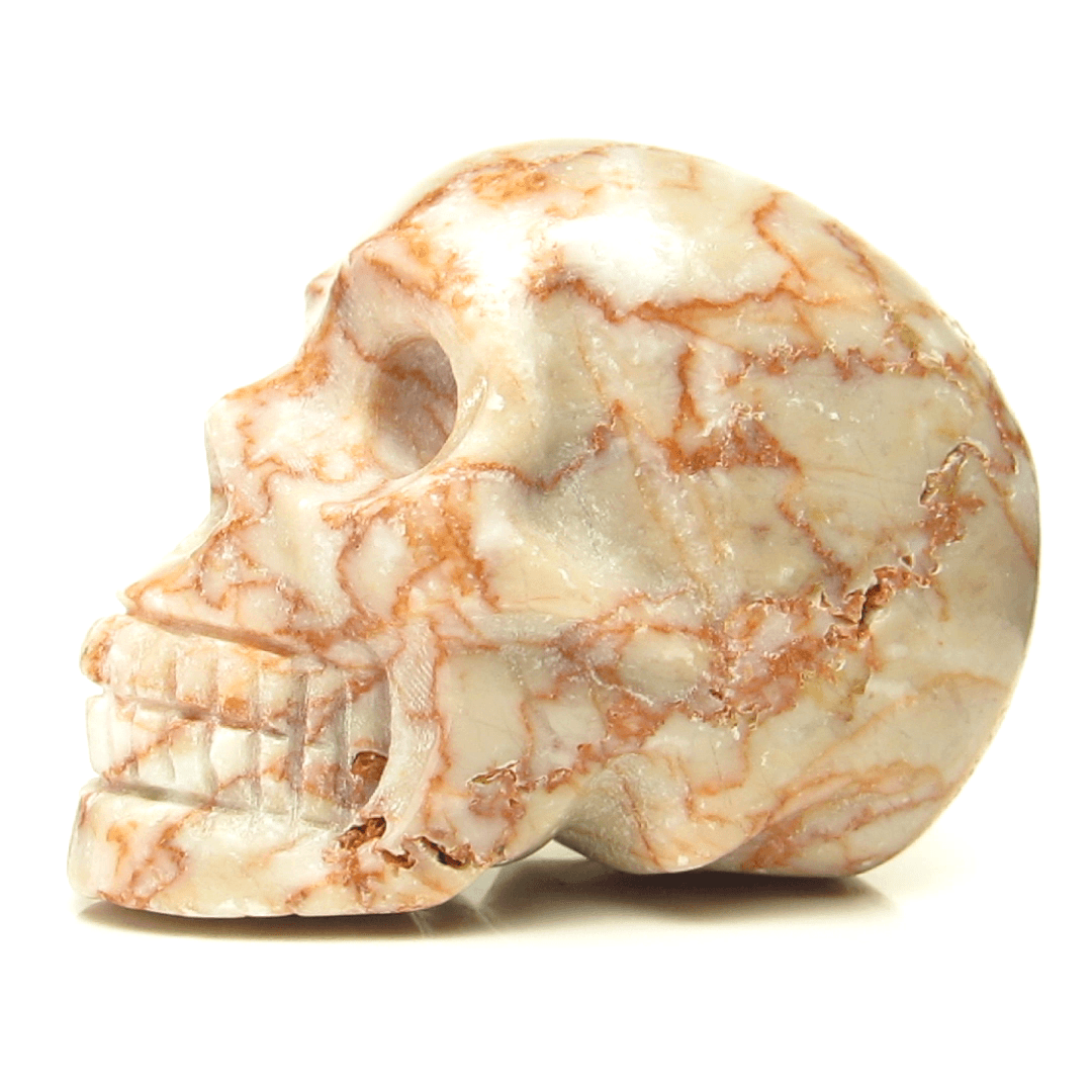 Red Vein Jasper Skull